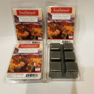 Wax Melts, limited edition, Autumn Valley